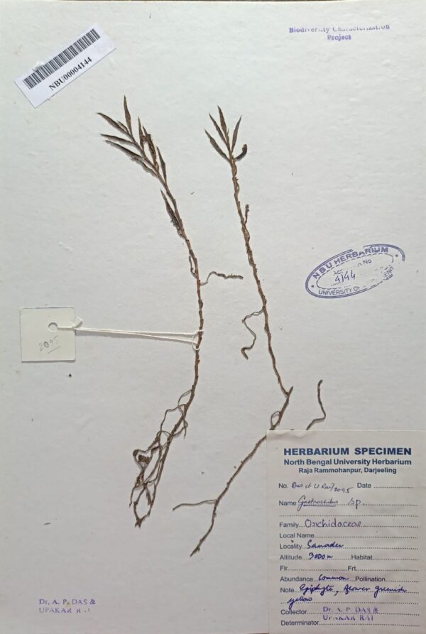DocScanner 7 Apr 2026 4-57 pm